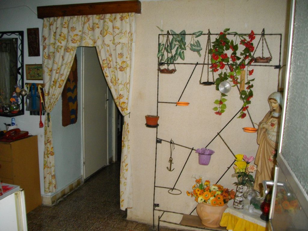 IMGP0469