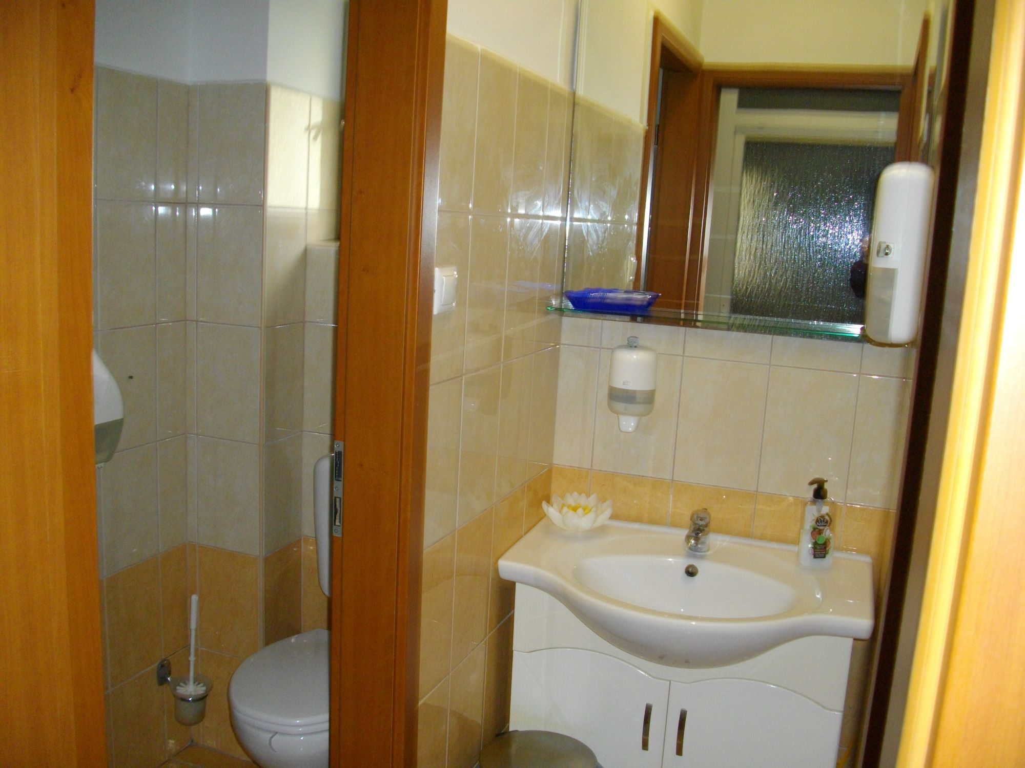 IMGP0520