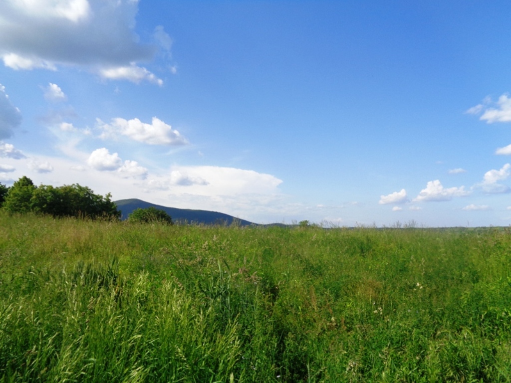 DSC05130