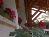DSCN4543