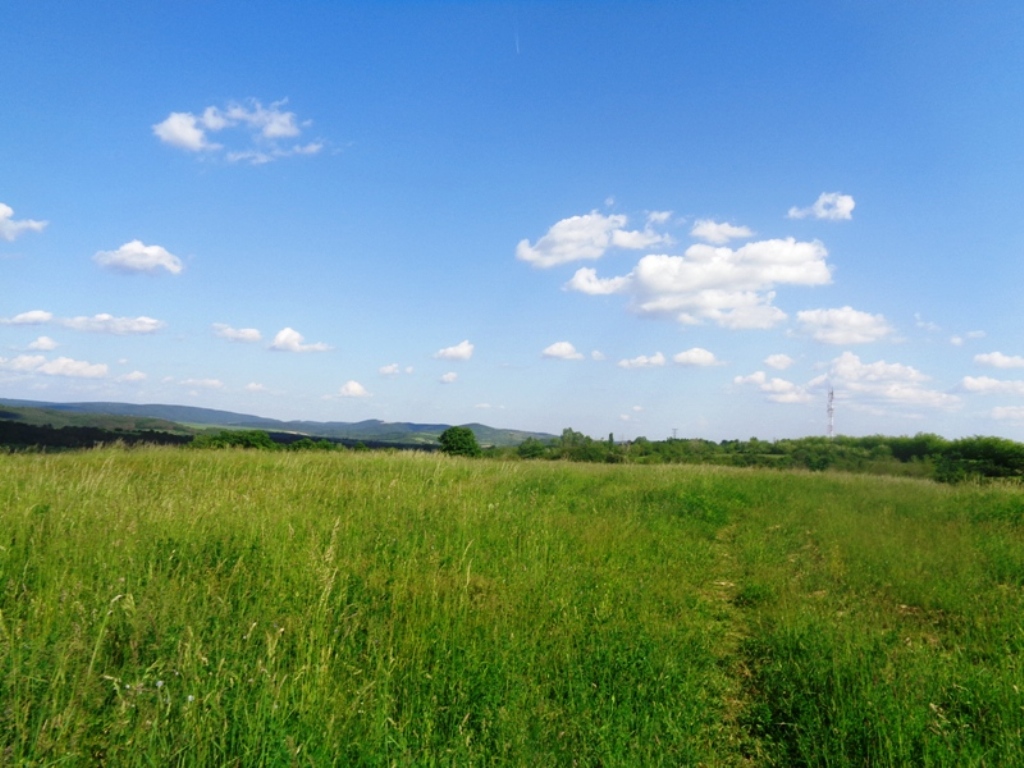 DSC05125
