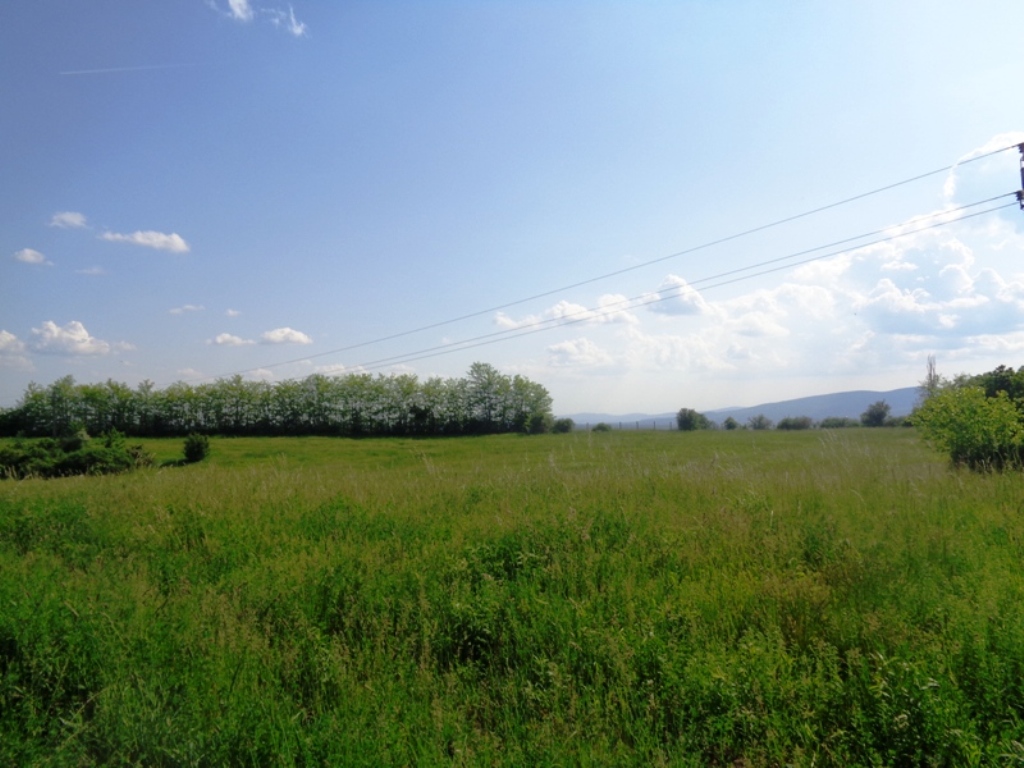 DSC05127