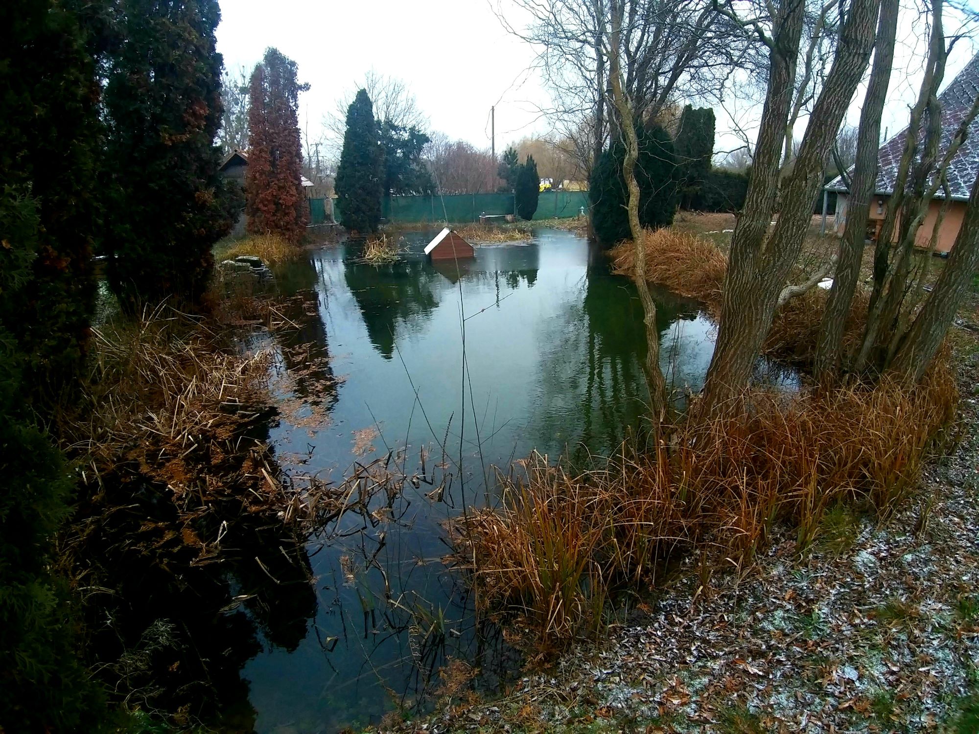 20240108_122829 (1)