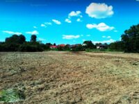 33972660_228989069_l