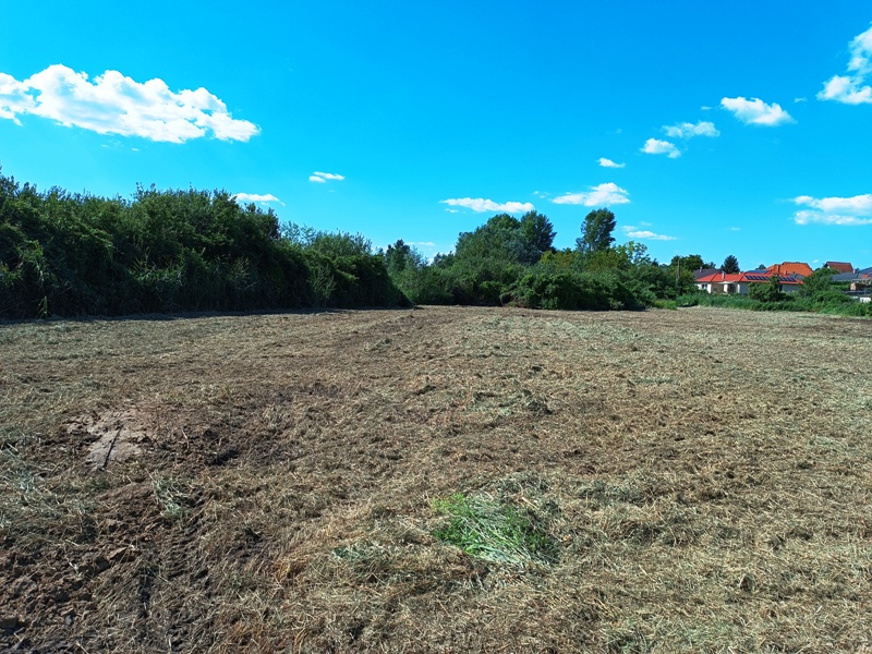 IMG_20230811_1524471