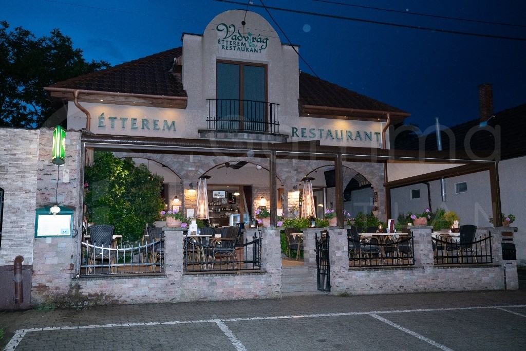 14 éve bevezetett étterem és rendezvényház eladó Dél-borsodi üdülőövezetben!!!-1158921