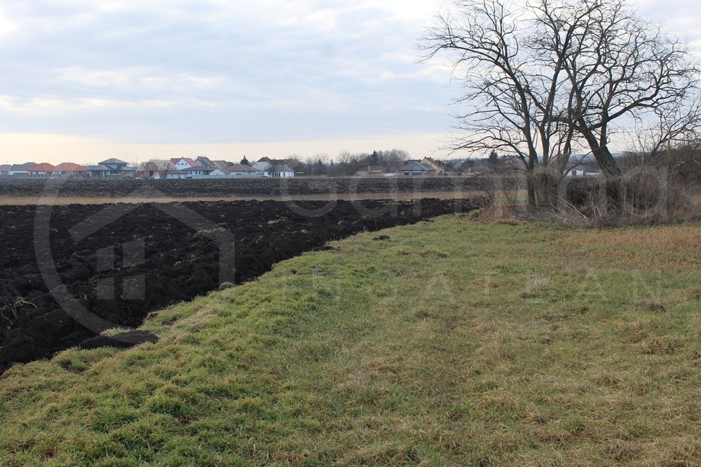 Kistokajban építési telkek egyben ELADÓK!-1208183