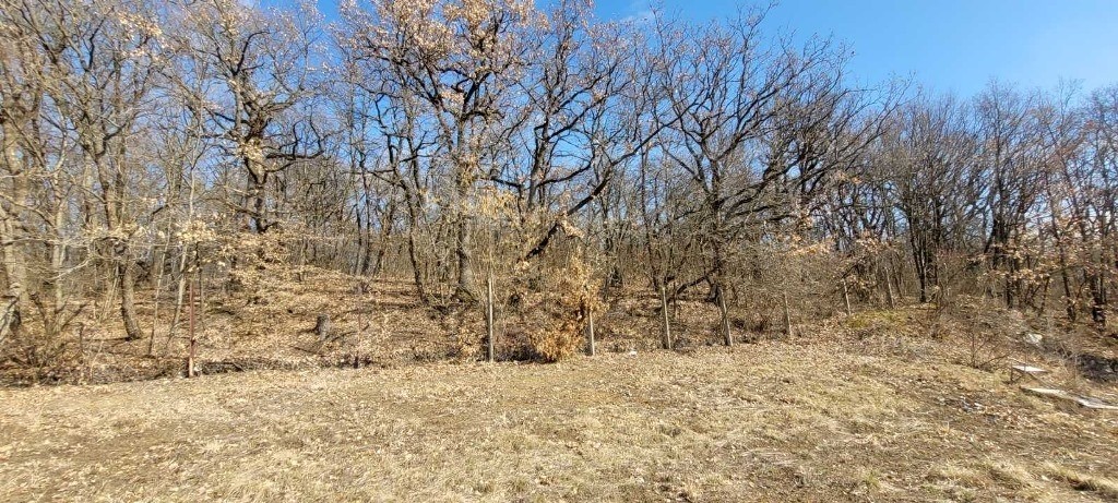 Eladó 3215 m2-es lakóövezeti panorámás építési telek Miskolctapolcán!!-1210383
