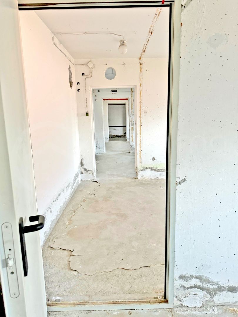 József Attila úton 440 nm-s pinceszint ELADÓ!-1325077