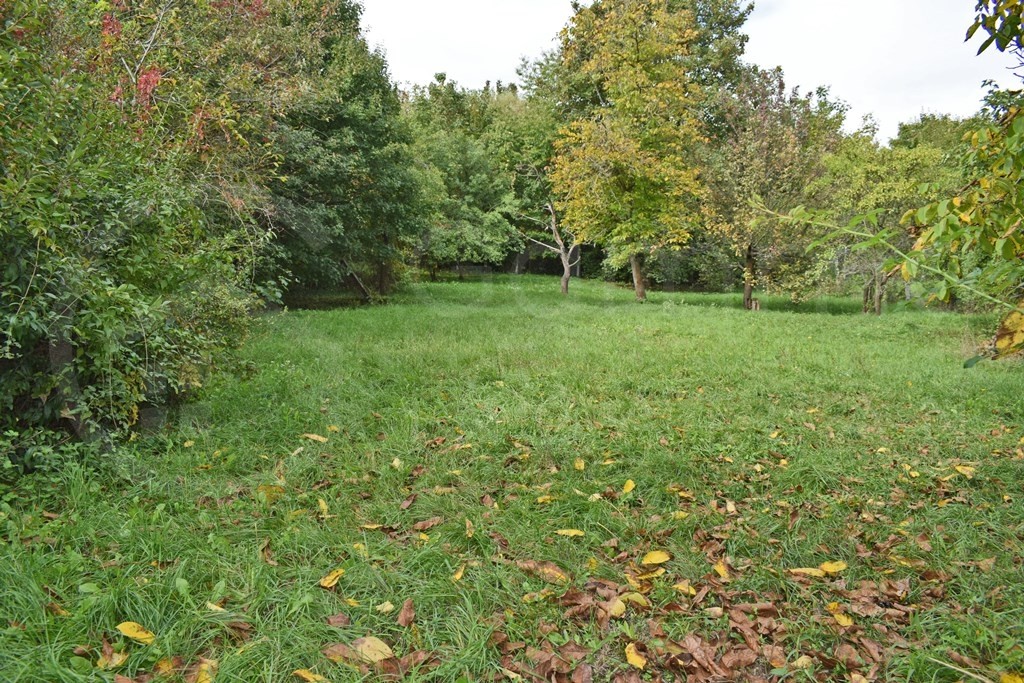 Eladásra kínálunk egy 1300nm-es telket Miskolc egyik legforgalmasabb és legkeresettebb részén