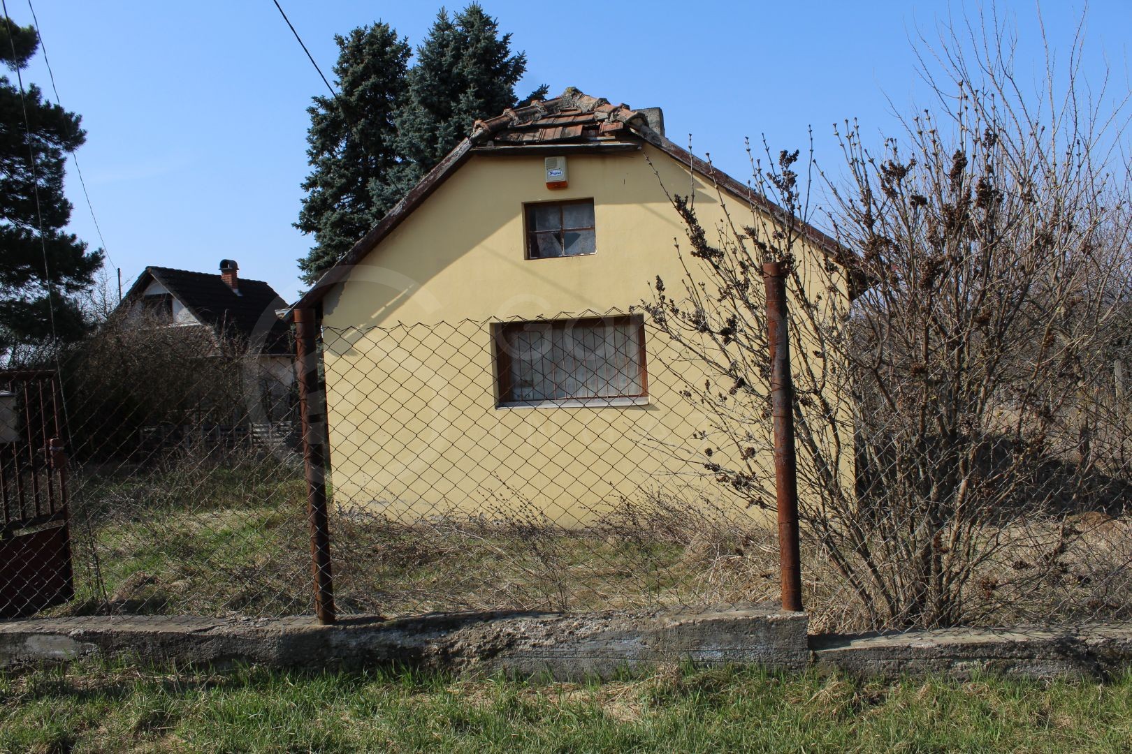 kis házzal szőlő