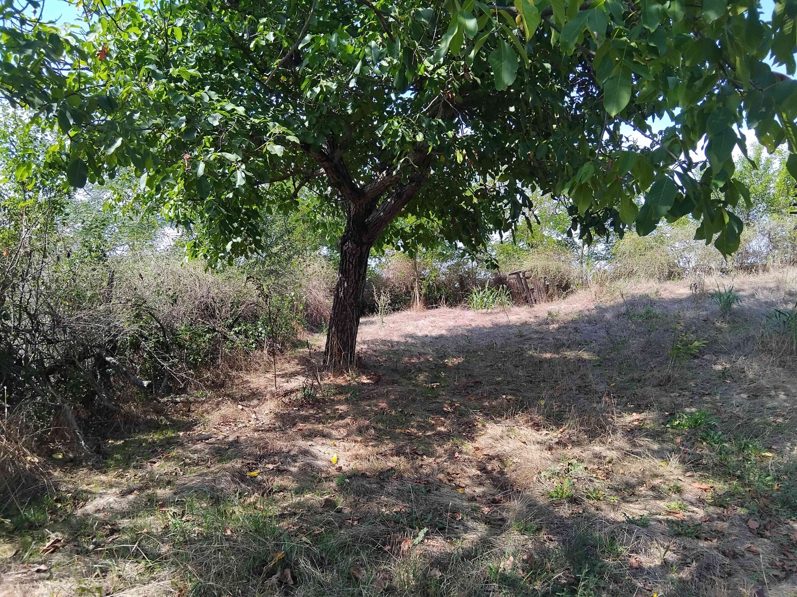 img_20250904_133015_optimized