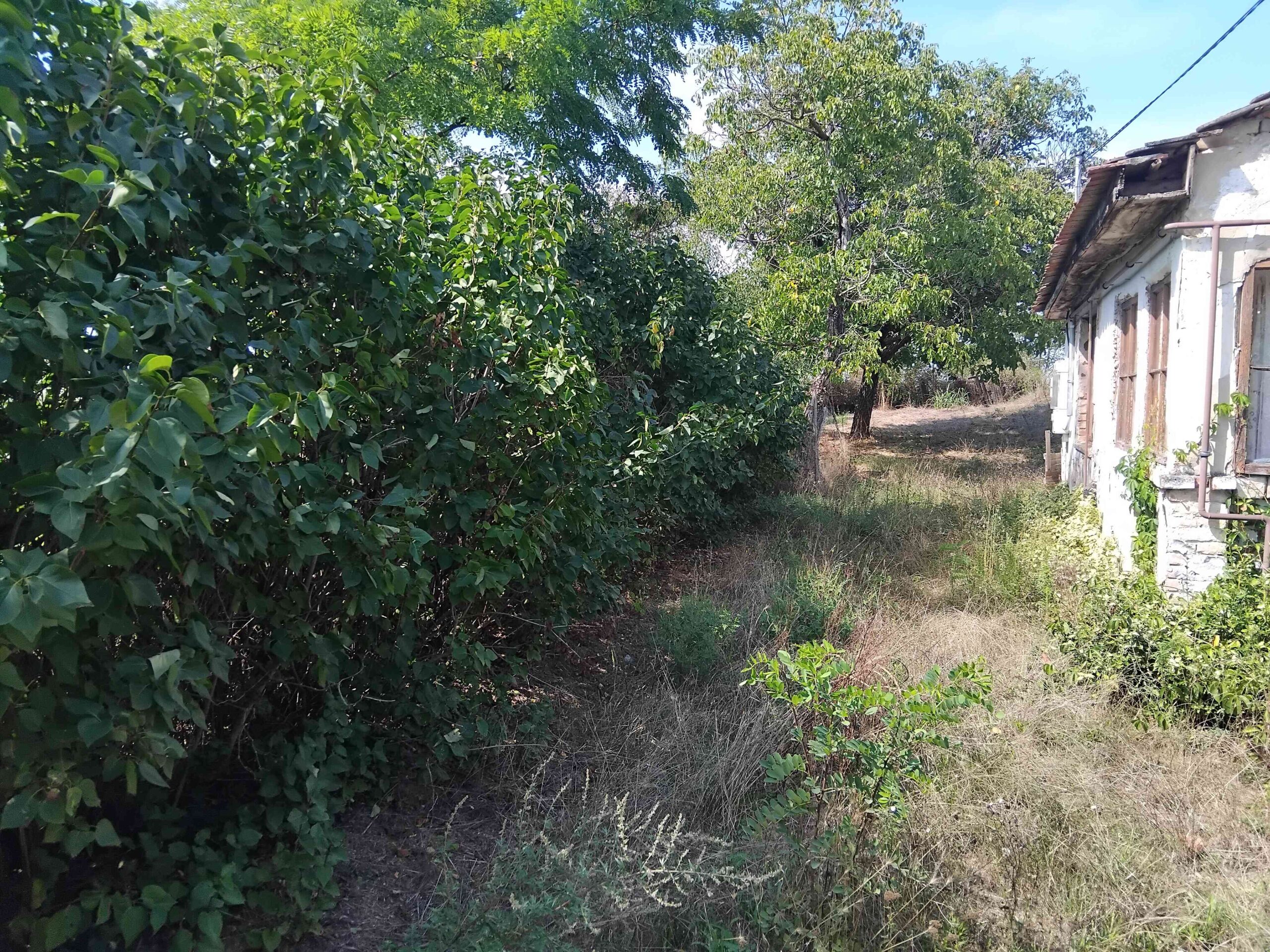 img_20250904_133047_optimized