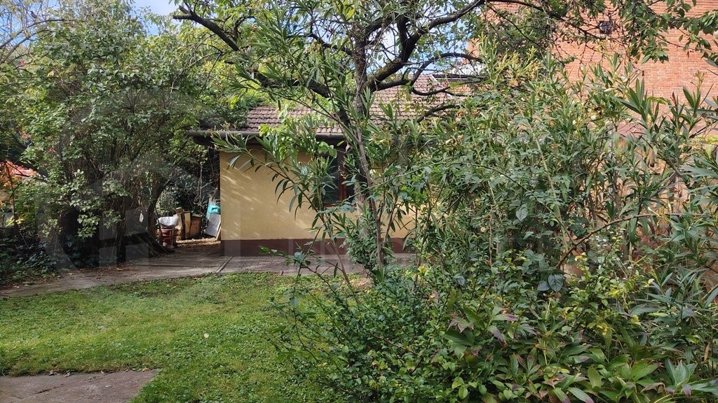 a Zsolcai Kapunál!-1402356