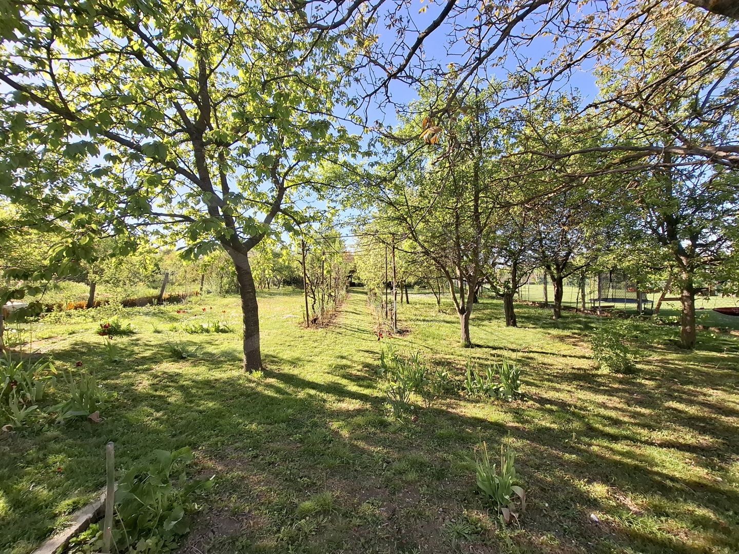 GÖRÖMBÖLYI CSALÁDI HÁZ ELADÓ!-1451434