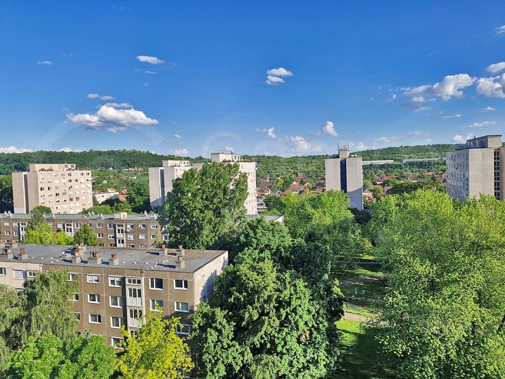 Örökpanorámás
