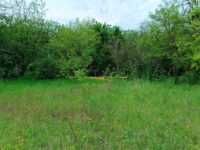 IMG_20250504_113307