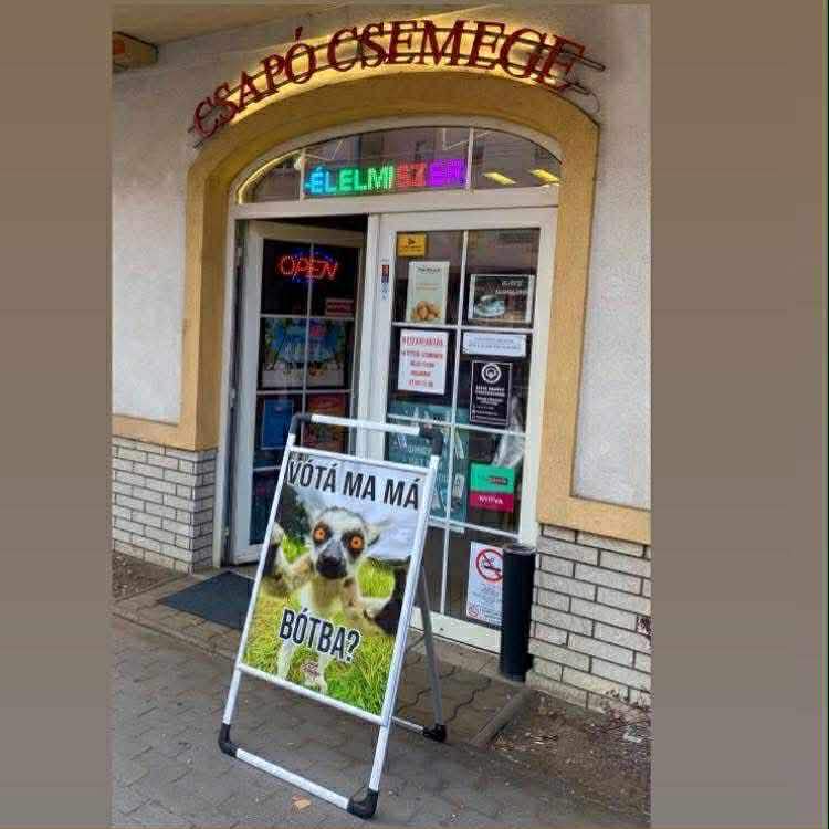 csapó u fotó
