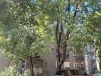 SELYEMRÉTEN LAKÁS ELADÓ!-1483962