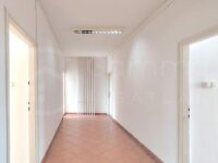 25 m2-es